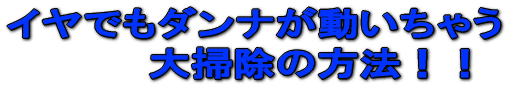 イヤでもダンナが動いちゃう 大掃除の方法!!